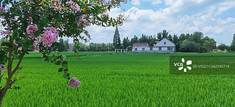 社会主义新农村～～图片素材