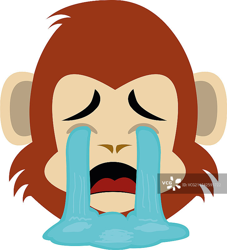 哭泣的猴头图片素材