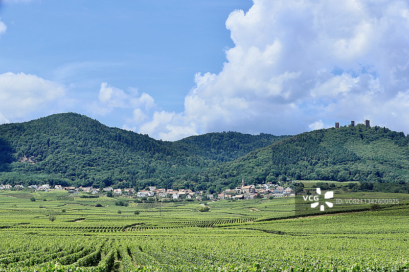阿尔萨斯白葡萄酒种植区图片素材