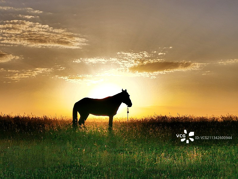 晨    光图片素材