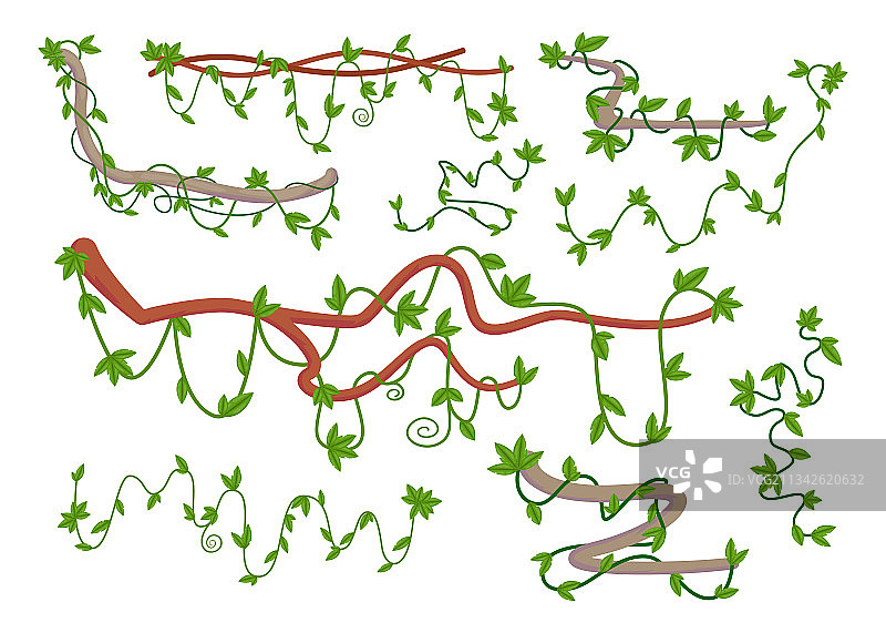 卡通野生卷曲利安娜树枝图片素材