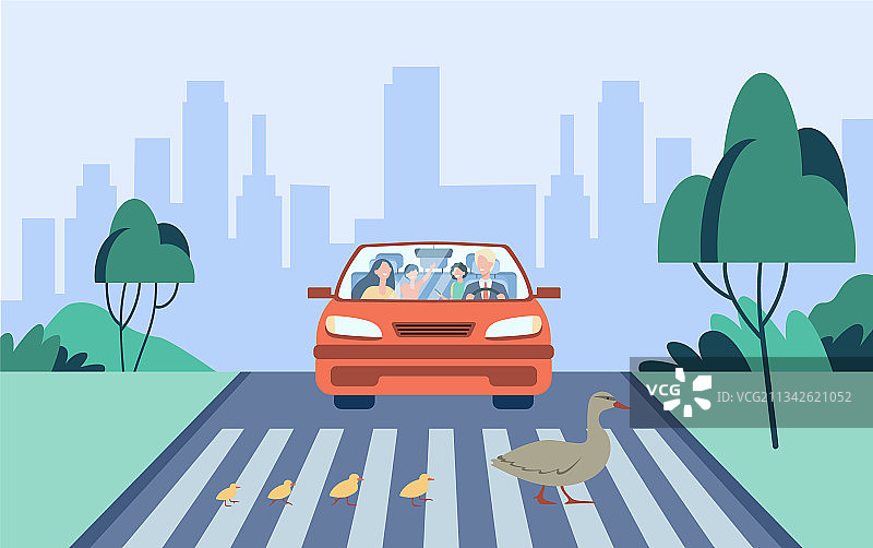 可爱的鸭妈妈带孩子们过马路图片素材