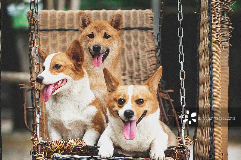 治愈系的夏天图片素材