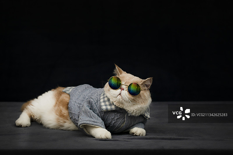 醉卧沙场君莫笑图片素材