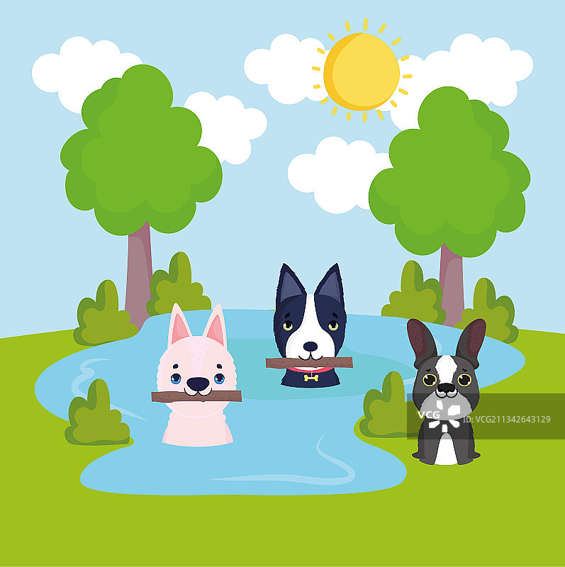 水上的小狗图片素材