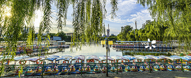 夏日里北京朝阳公园柔和阳光下的鸭子游船，仿佛回到小时候图片素材