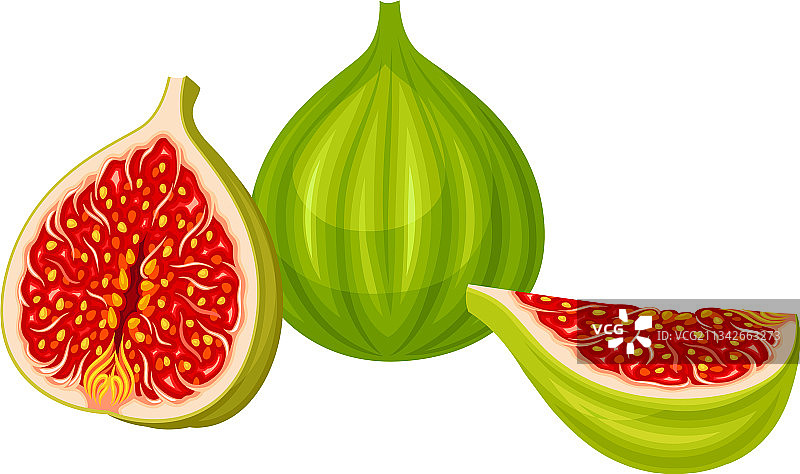 未成熟的无花果图片素材