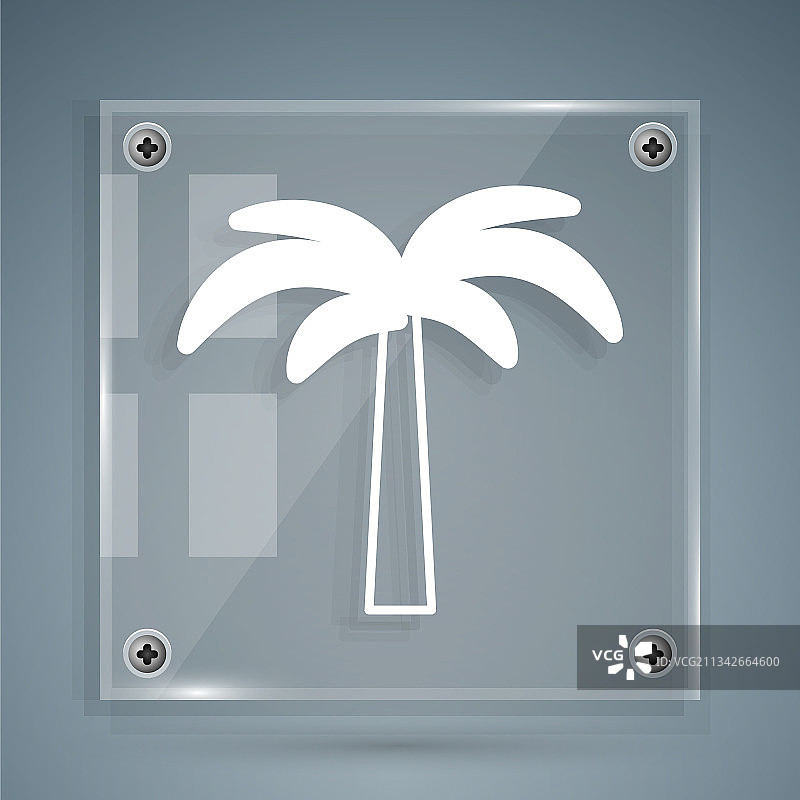灰色背景上的白色热带棕榈树图标图片素材