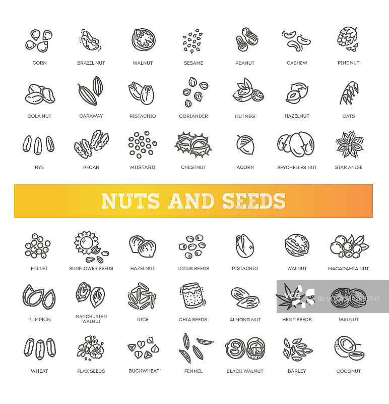 网页图标合集-坚果和种子图片素材