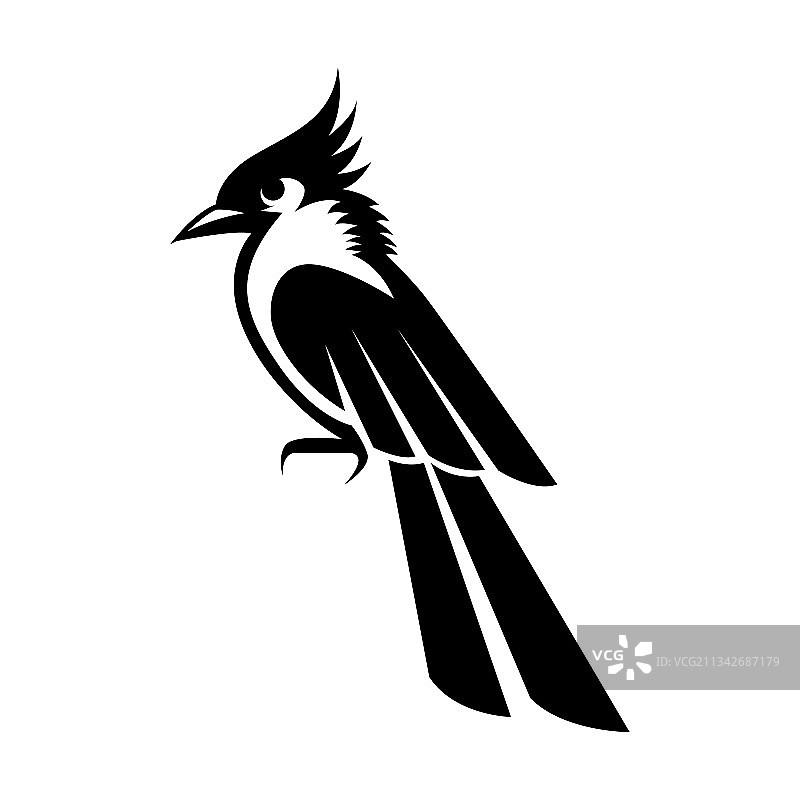 白色背景上的黑色图片素材