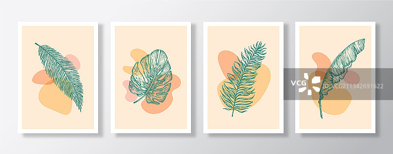 抽象植物背景装饰图片素材