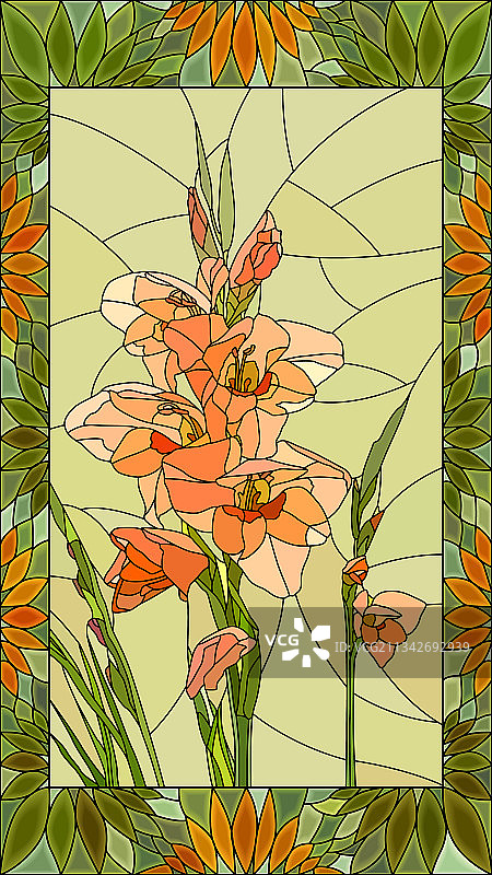 粉色唐菖蒲花图片素材