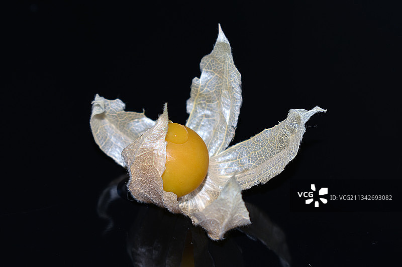 黑色背景下的水果特写图片素材