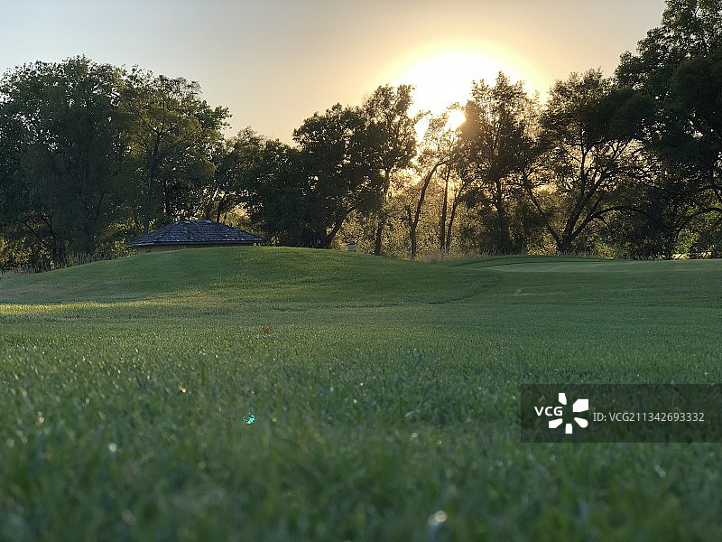 美国内布拉斯加州奥马哈的田野上的树木图片素材