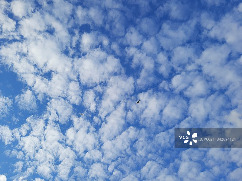 天空中的云的低角度视图图片素材