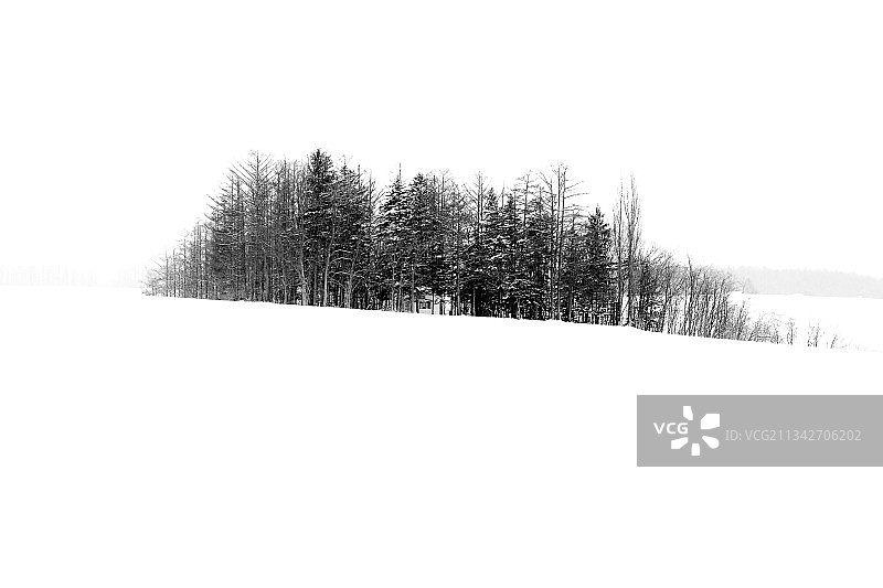 林中小屋雪景黑白特写图片素材