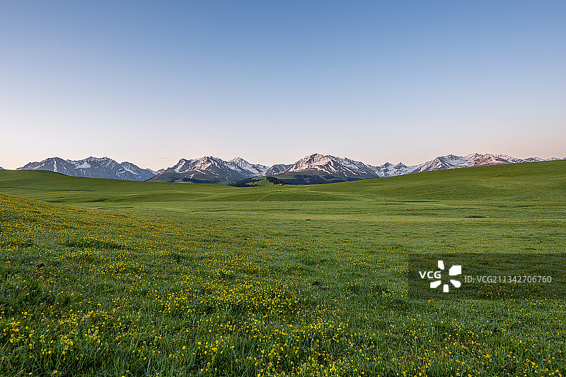 新疆伊犁喀拉峻草原春季风光图片素材