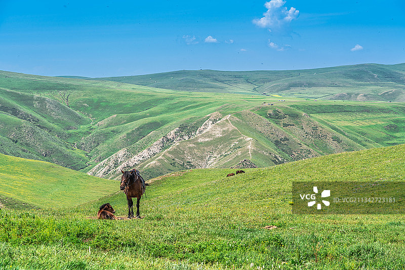 内蒙古黄花沟草原自然景区风景图片素材