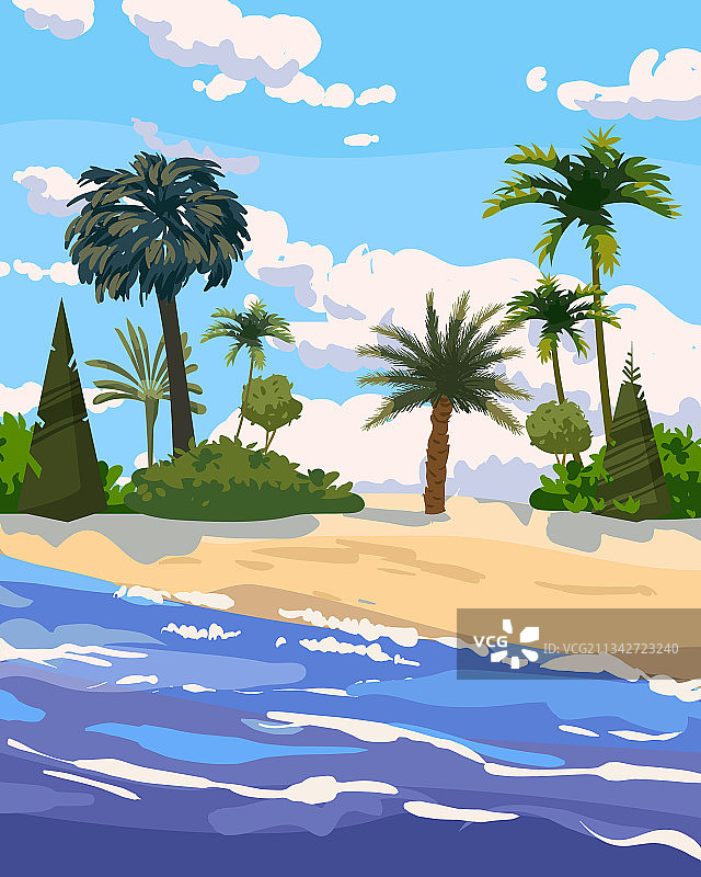 热带海岛棕榈树和植物海岸图片素材