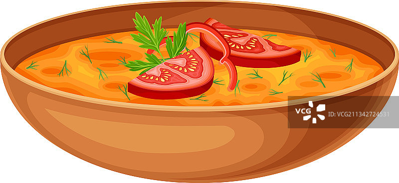 浓稠的番茄蔬菜汤图片素材