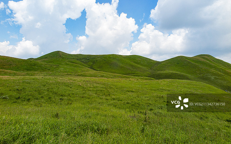 中国贵州屋脊毕节市赫章县阿西里西韭菜坪风景区风光图片素材