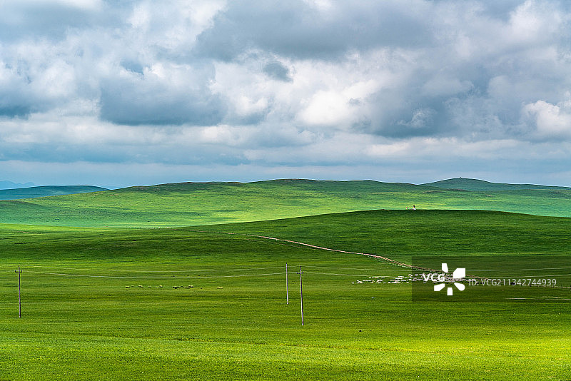 中国内蒙古西乌珠穆沁旗大草原图片素材