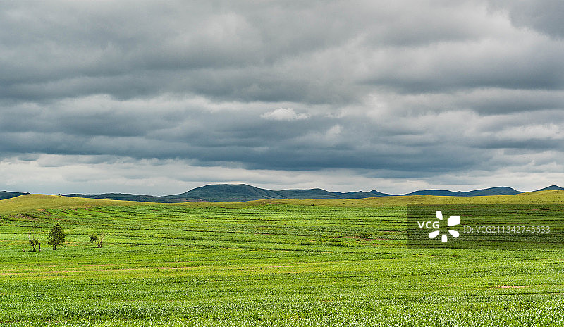 中国内蒙锡林郭勒盟多伦湖草原风景图片素材