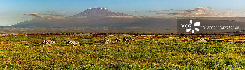 坦桑尼亚乞力马扎罗山田野风光图片素材
