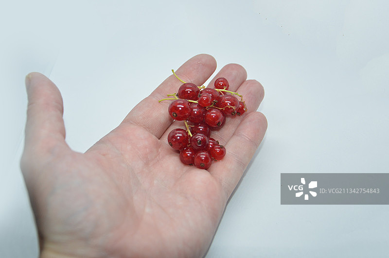 裁剪的手拿着红色浆果在白色背景前图片素材