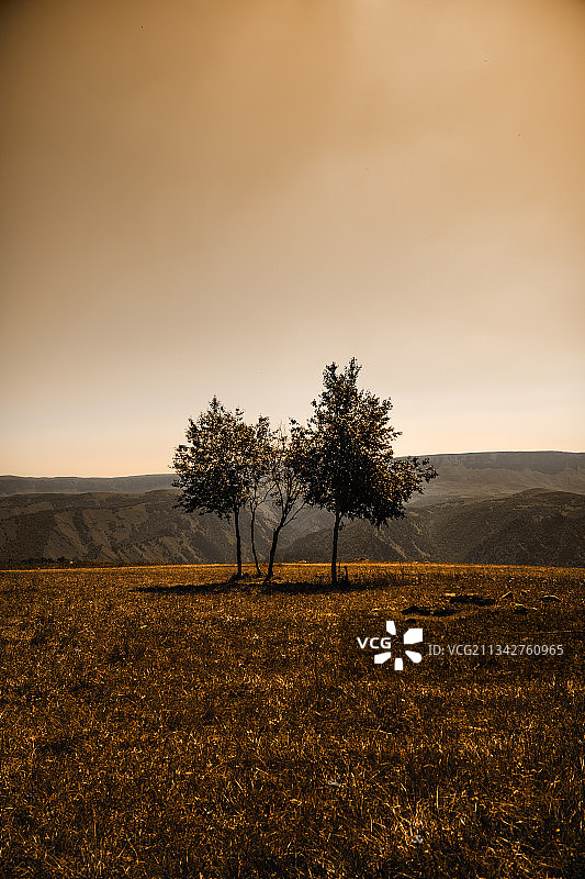 日落时分俄罗斯斯塔夫罗波尔边疆区基斯洛沃茨克田野上的树木图片素材