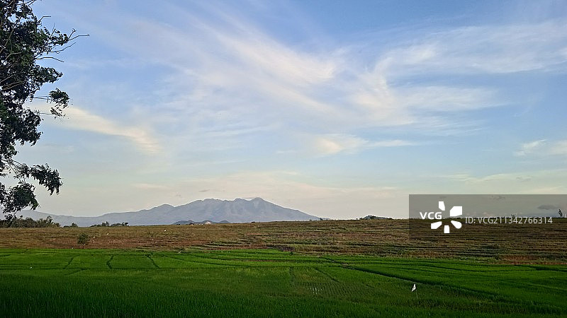 印度尼西亚农业田园风光图片素材
