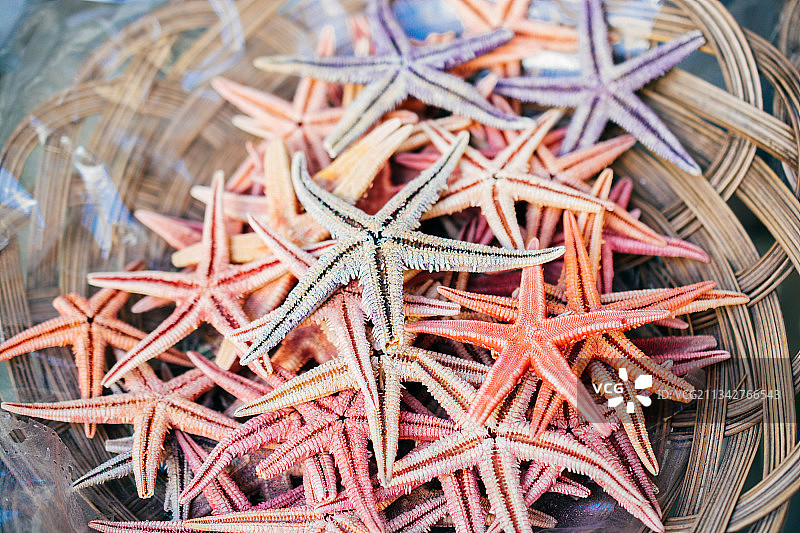 夏季海星背景图片素材