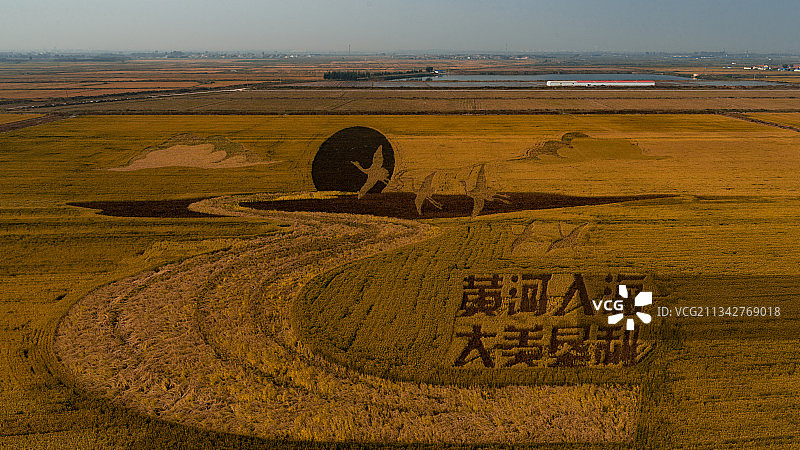 黄河入海口五色麦田图片素材