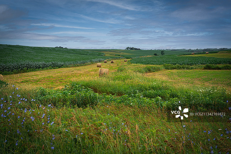 美国爱荷华州麦迪逊县的田野风光图片素材