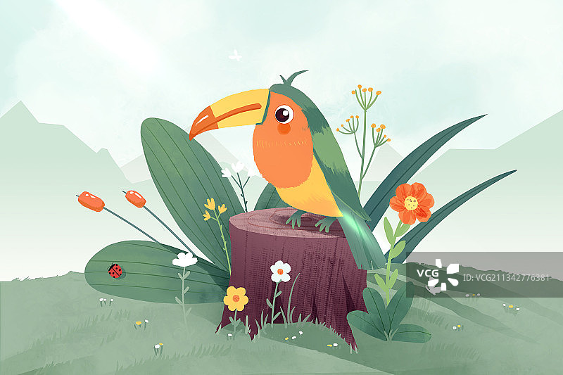 大嘴鸟图片素材