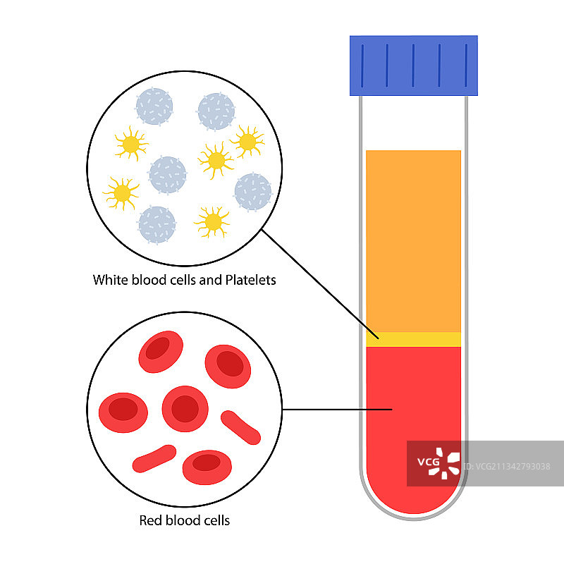 富血小板血浆概念图片素材