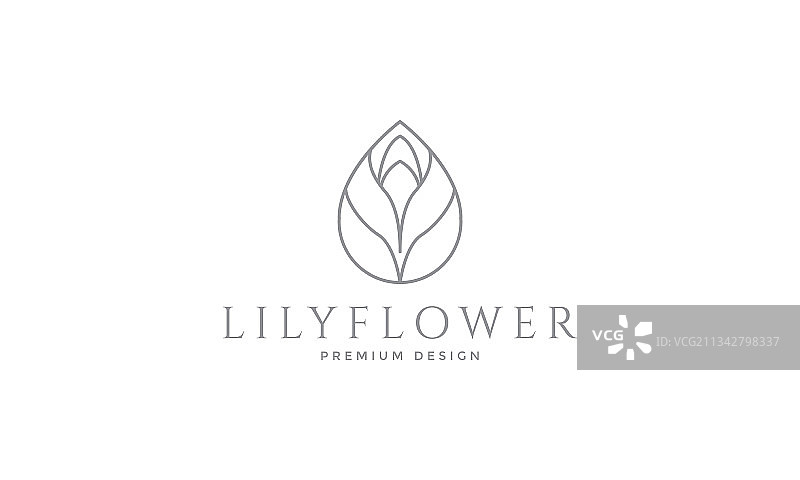 百合花蕾线条标志符号图标图形设计图片素材