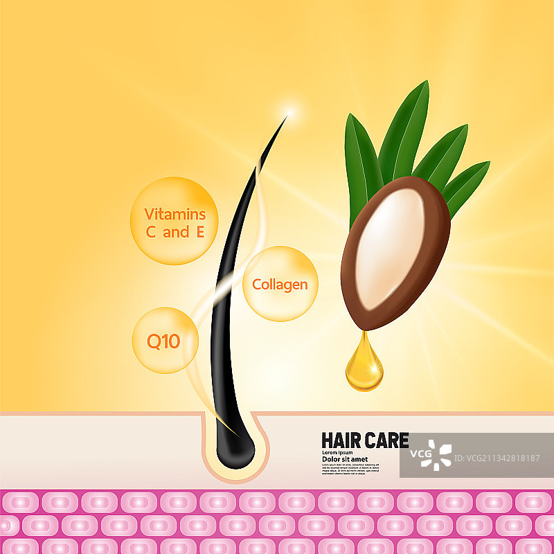 用于护发产品的摩洛哥坚果提取物图片素材