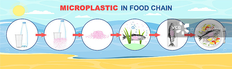 食物链中的微塑料信息图图片素材