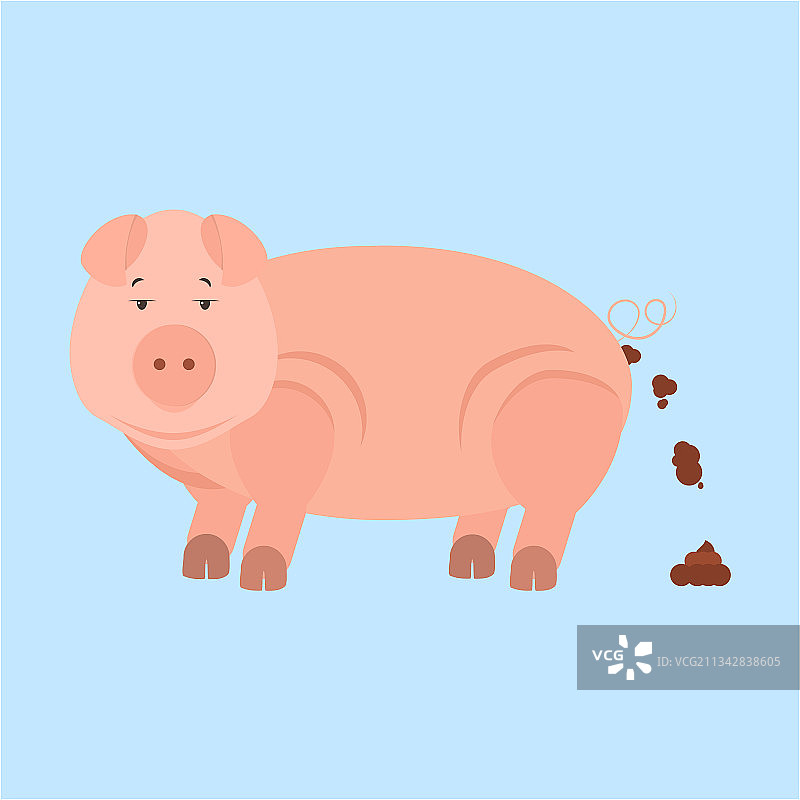 小猪便溺图片素材
