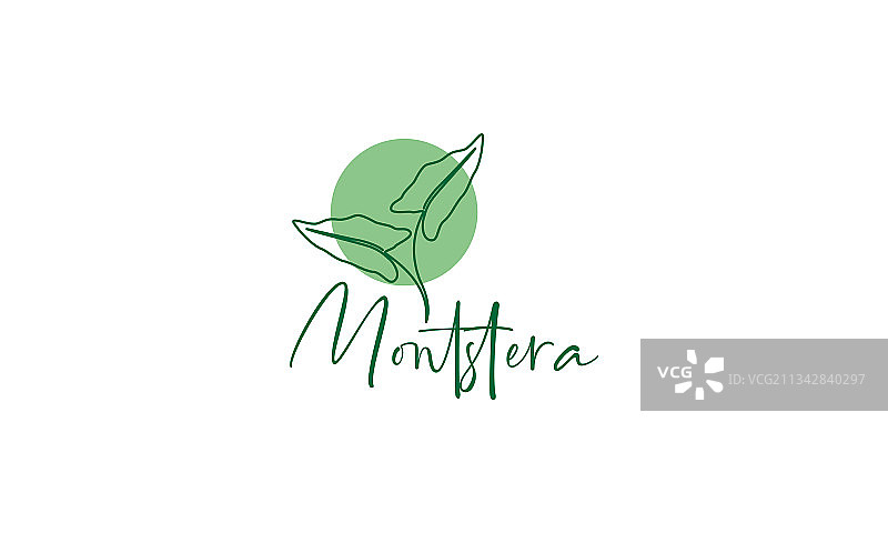 绿色植物龟背竹线条美容标志符号图片素材