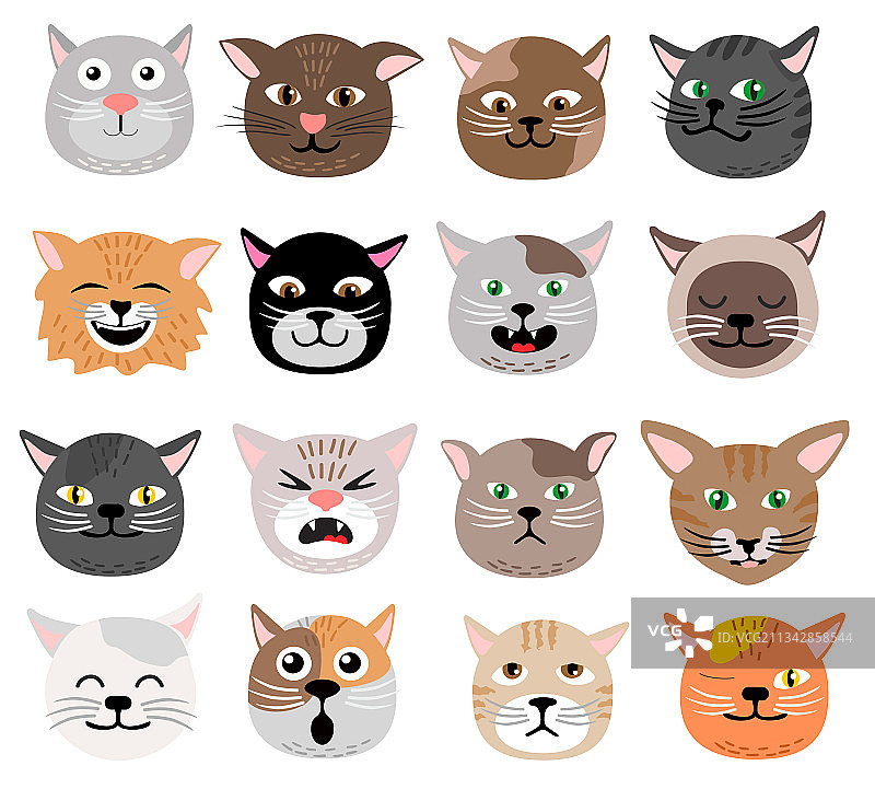 有趣的猫脸表情合集图片素材