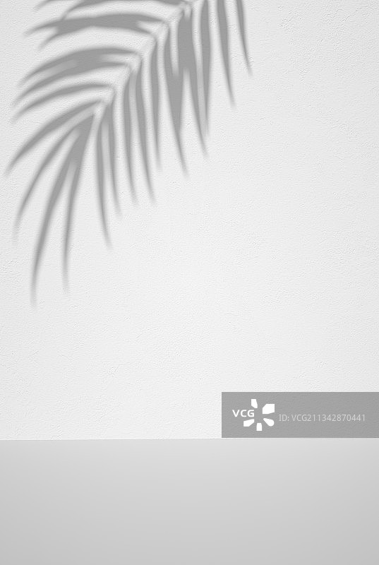 树叶影子墙壁纹理背景图片素材