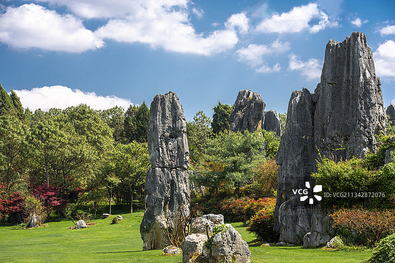 中国云南省石林县云南石林世界地质公图片素材