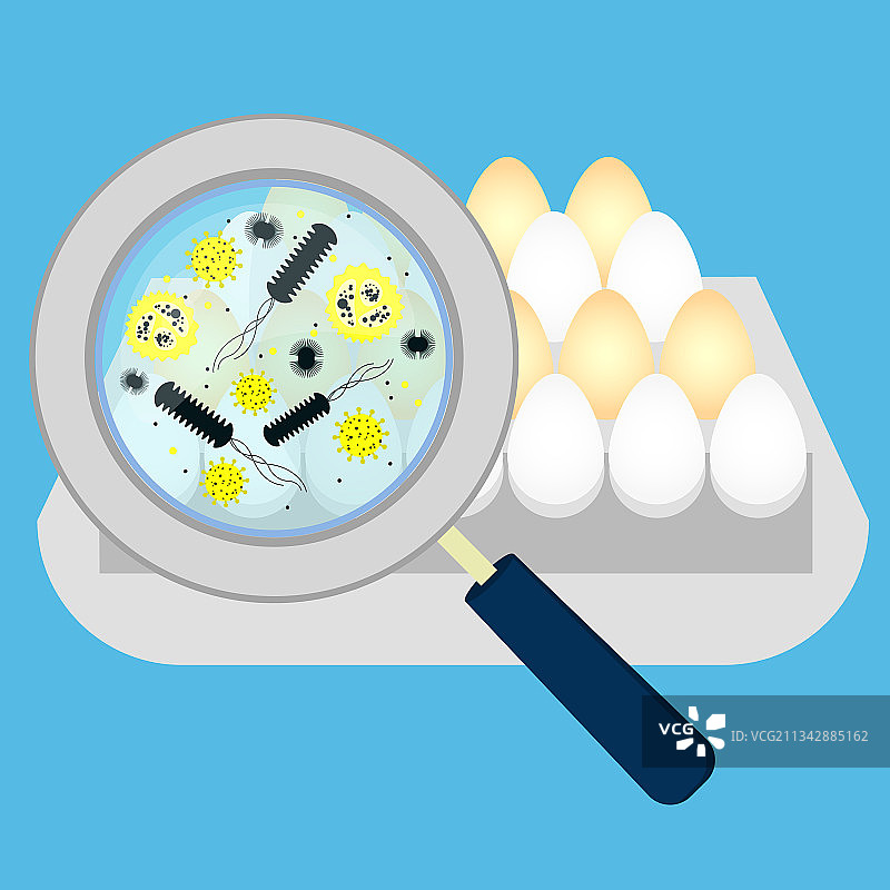 含细菌的鸡蛋图片素材