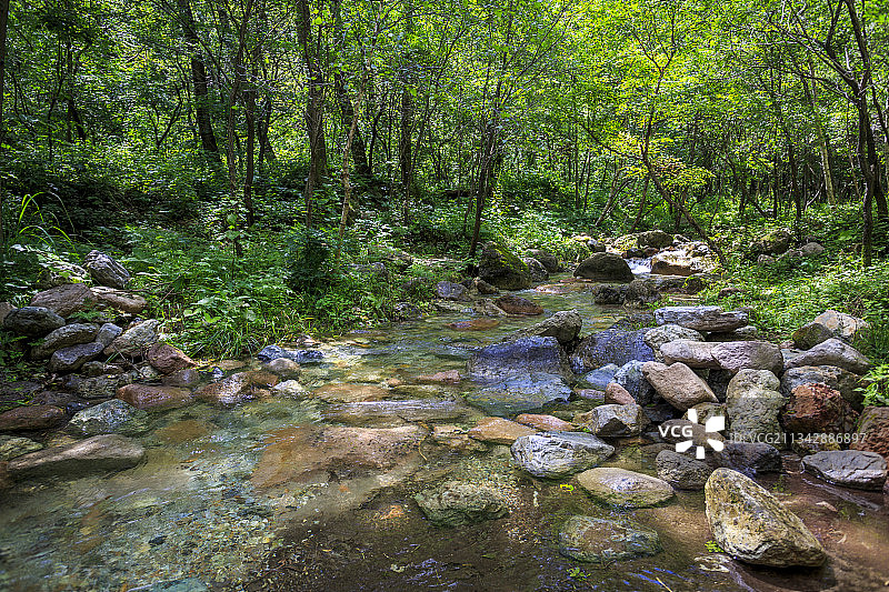 玉渡山，森林，绿色，溪水图片素材