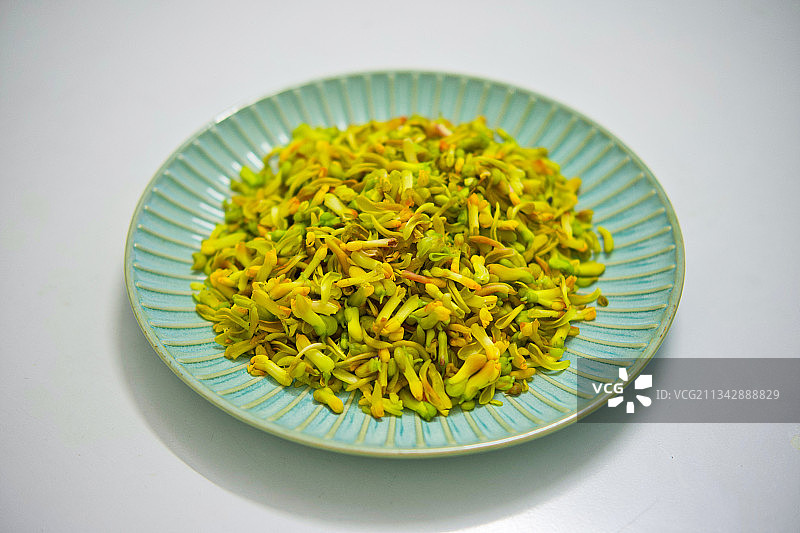 金雀花图片素材