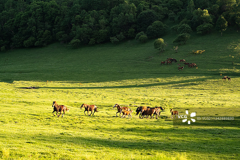 陕西宝鸡关山草原景区图片素材