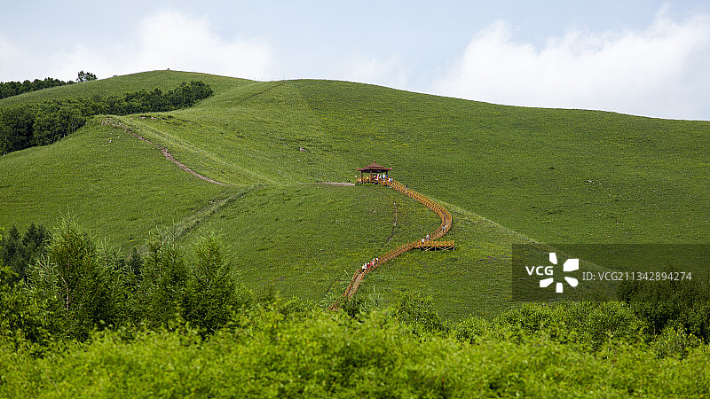 河北承德丰宁县坝上七彩森林 景区图片素材