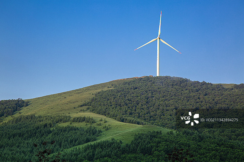 河北承德丰宁县坝上七彩森林 景区图片素材